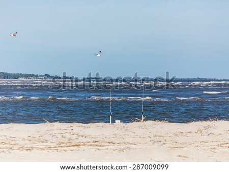Two fishing poles in the sand at the beach with two seagulls flying over