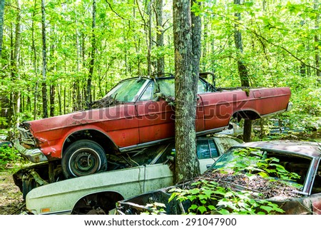Group of old wrecked and rusty cars in the forest