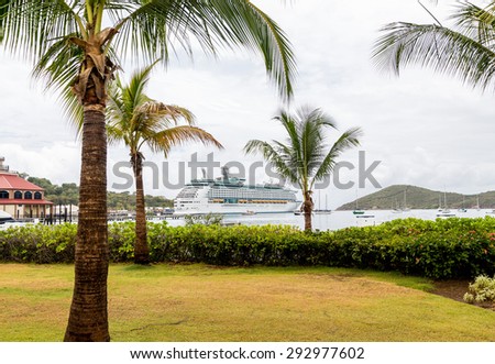 Luxury cruise ship docked in a bay beyond palm trees