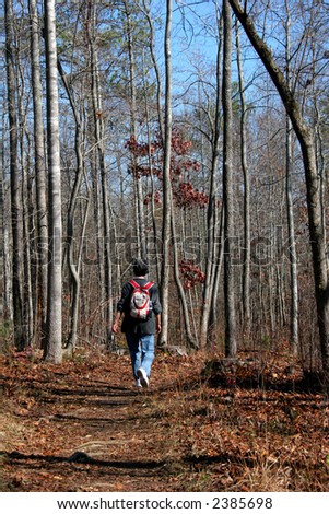 A lone hiker walking through the woods in winter
