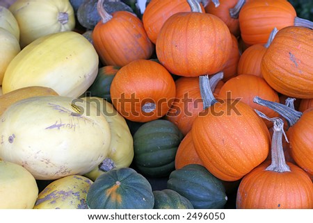 Pumpkins, spaghetti and acorn squash in grocer\'s bin