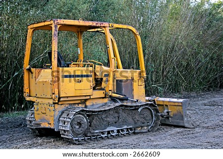 Yellow bulldozer on job site in front of bamboo thicket