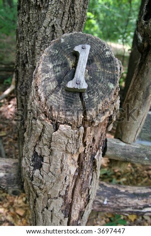 A natural wood mile marker showing the number one