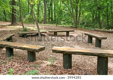 A ring of old wood timber benches in a forest