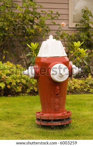 A new red and white fire hydrant