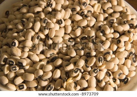 A close up of dried black-eyed peas lit from the side
