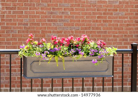 A flower box of stamped tin on a wrought iron fence in front of a brick wall
