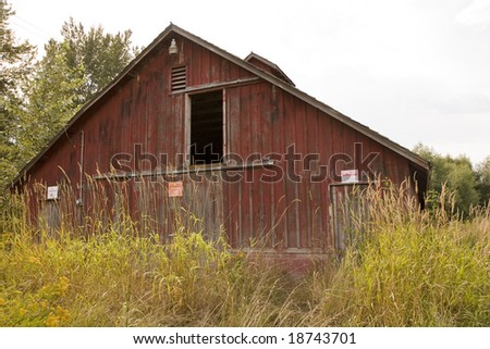 An old red barn overgrown with weeds