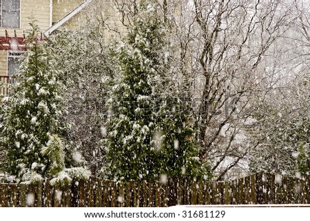 A residential back yard in a snow shower