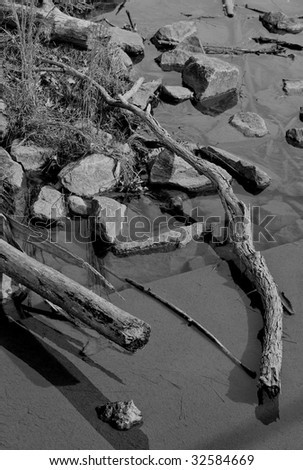 Limbs and rocks in a shallow stream in black and white