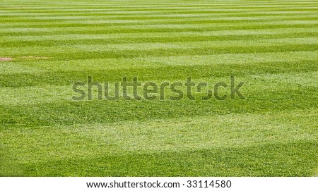 Fresh Cut green grass on a new baseball field
