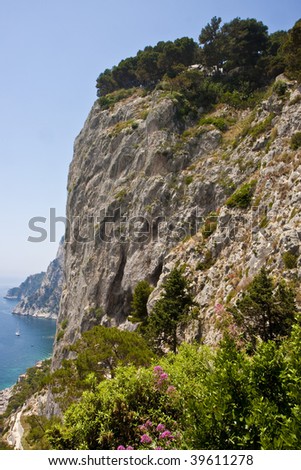 Colorful flowers on the steep cliffs of Capri Italy in the Bay of Naples