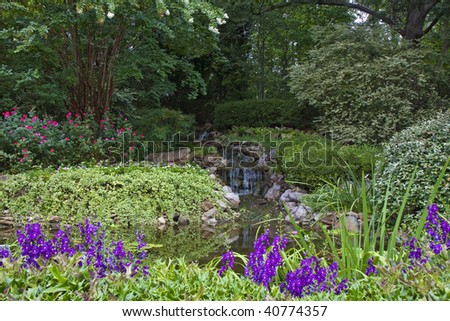 Flowers in a well maintained garden