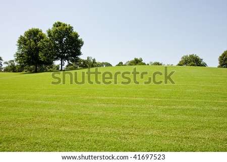 A long green grassy hill with trees in a public park