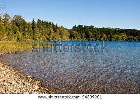 Shoreline of a peaceful lake in the Pacific Northwest