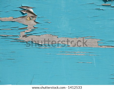 old paint looks like a loon in the water