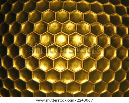 bee hive closeup