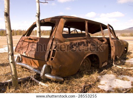 a tree is crowing through an old car