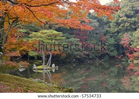 japanese zen garden in autumn