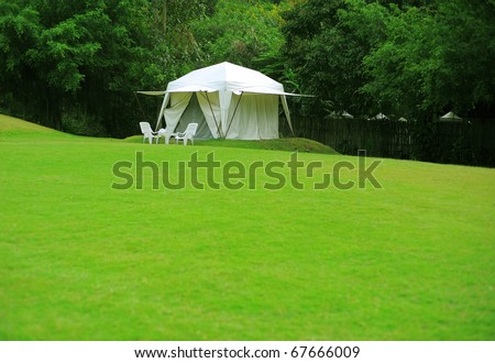 white tent on green grass yard