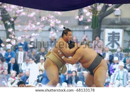 TOKYO JAPAN - APRIL 11 : two sumo fight in Yasukuni Shrine in sumo spring tournament April 11, 2007 in Tokyo, Japan