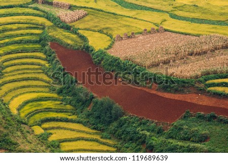Chinese agriculture at Dongchuan province, Yunan China