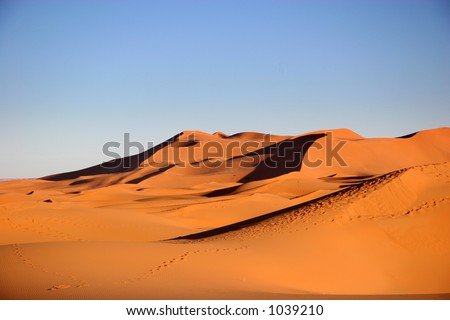 Desert, Sahara, Morocco