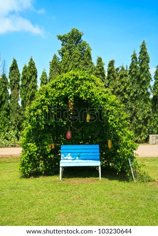 Tree shelter in a green garden with blue sky