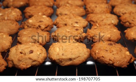 Cashew nut cookies on steel grid after oven