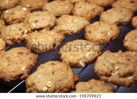 Cashew nut cookies on steel grid after oven