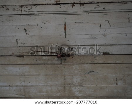 Antique slide steel locked shutter door, texture background