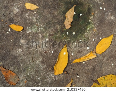 antique and dirty concrete floor texture background