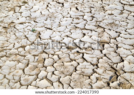 Closeup of dry cracked earth background, clay desert texture