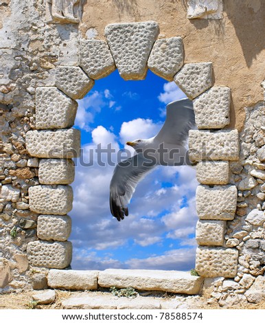 Seagull flying on blue sky through an old Venetian window on Kythera island, Greece