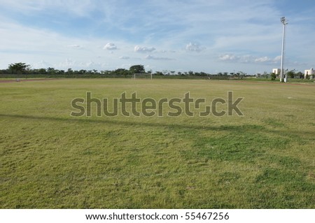 football grass in local