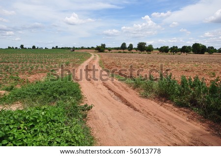 ground road curve in the farm