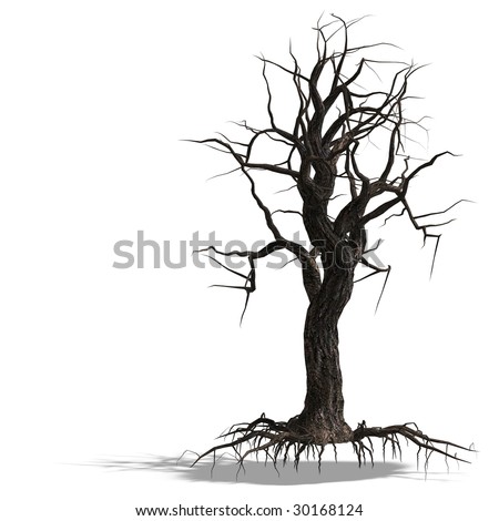 Dead Tree Shadow