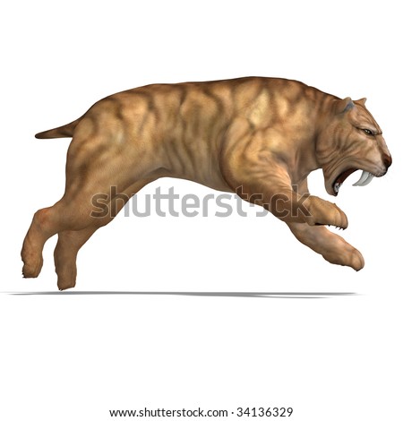 stock photo sabertoothed tiger 3D render with clipping path and shadow 