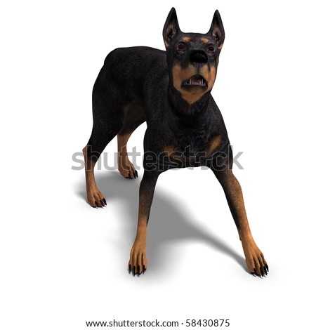 Doberman Dog Black