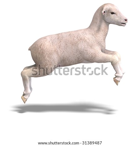 rendering of a young sheep