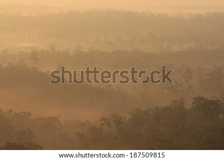 The fog cover the forest ,Nam nao National Park , Petchaboon,Thailand