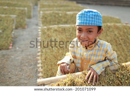 Bondowoso, INDONESIA - September 15: Unidentified poor kid plays in dry tea yard  on September 15, 2012. Bondowoso involves cultures from different nations.There is a big Arabic there for long time