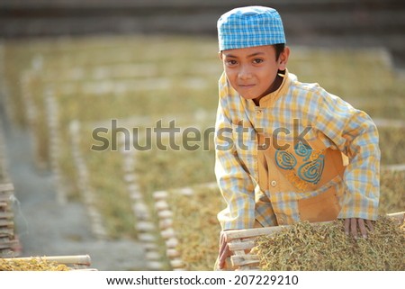 Bondowoso, INDONESIA - September 15: Unidentified poor kid plays in dry tea yard on September 15, 2012. Bondowoso involves cultures from different nations.There is a big Arabic there for long time