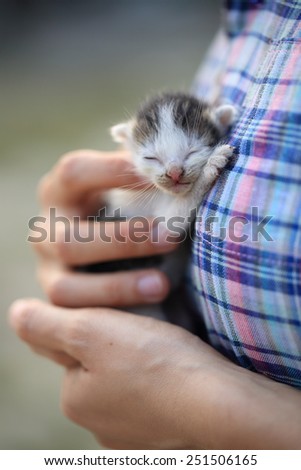 little cat in woman\'s hands , little cat in shoulder