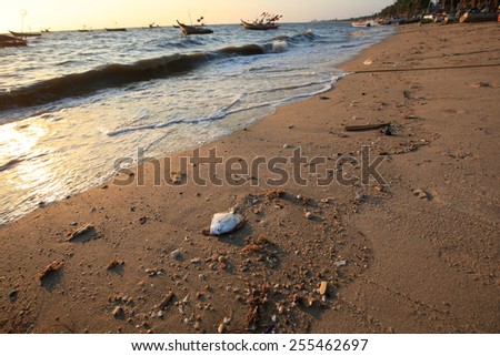Dead fish on the beach , dead wild fish in polluted water at sea, nature series