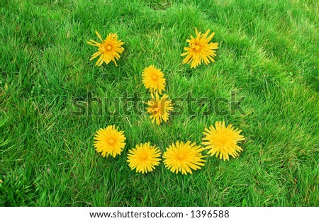 Smiley face sign formed by yellow flowers on green grass background