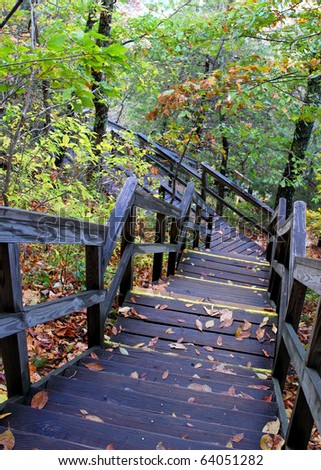 Forest stairs (Down)