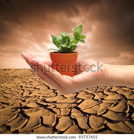 hand with small plant on  dry cracked land background for Global Warming Concept