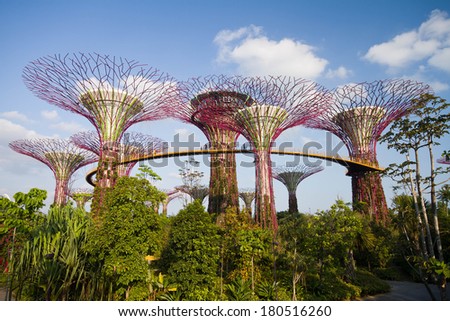 SINGAPORE - FEB 28 : View of The Super-tree Grove at Garden by the Bay on Feb 28, 2014 in Singapore. Garden by the bay is a concept to transform Singapore from Garden City to City in a Garden.