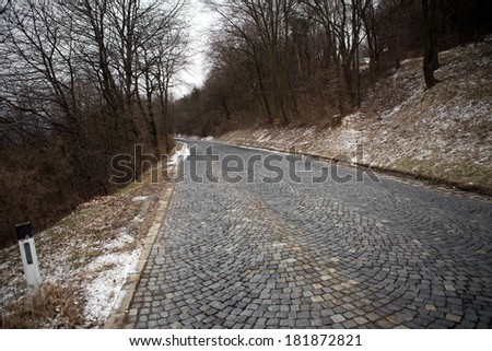 Road in a park  in Vienna, Austria at winter